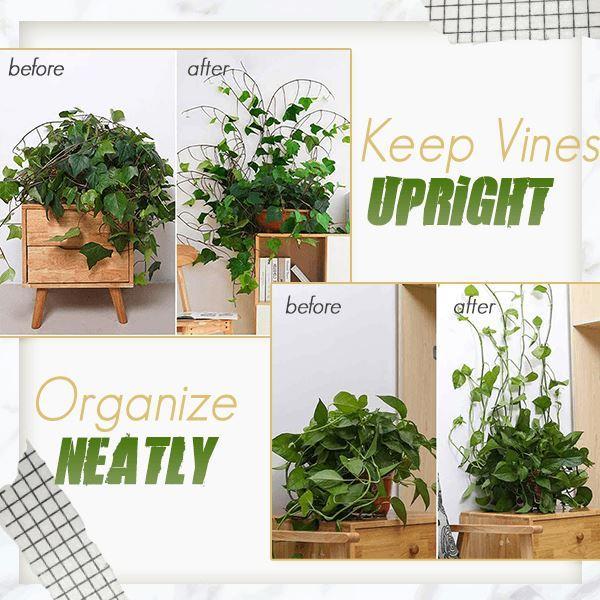 Plant Wall Climbing Fixing Clips 20PCS
