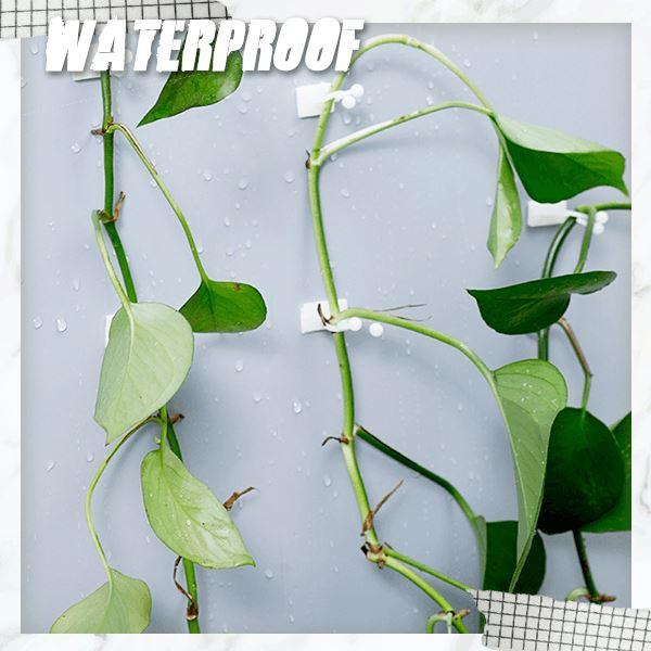 Plant Wall Climbing Fixing Clips 20PCS