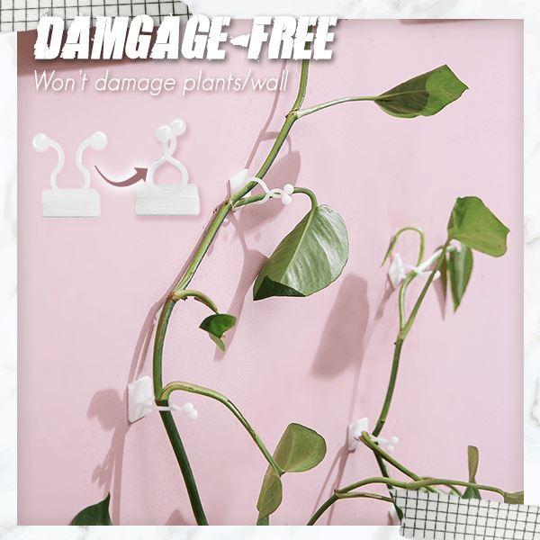Plant Wall Climbing Fixing Clips 20PCS