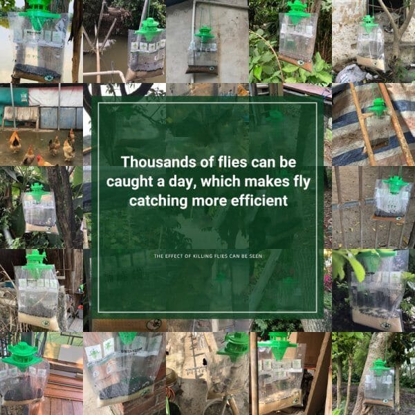 Non-Toxic Trap Catcher