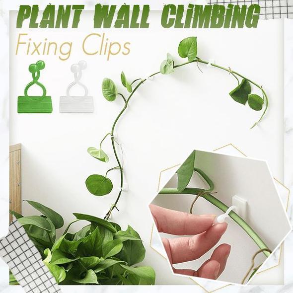 Plant Wall Climbing Fixing Clips 20PCS