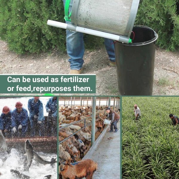 Non-Toxic Trap Catcher
